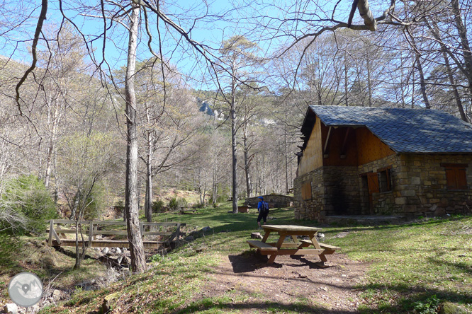 Costa Pubilla o Pla de Pujalts (2.056m) al Montgrony 1 