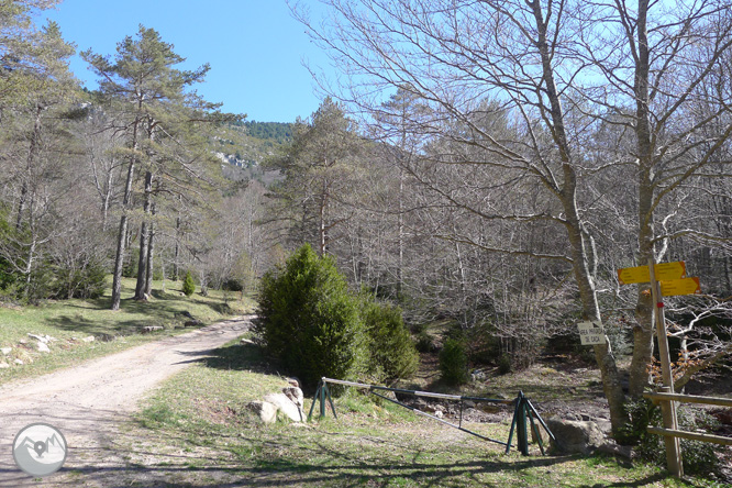 Costa Pubilla o Pla de Pujalts (2.056m) al Montgrony 1 