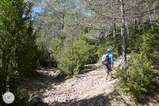 Costa Pubilla o Pla de Pujalts (2.056m) al Montgrony 1 