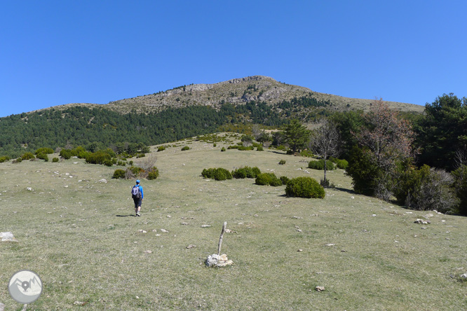 Costa Pubilla o Pla de Pujalts (2.056m) al Montgrony 1 