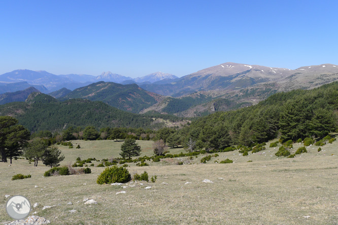 Costa Pubilla o Pla de Pujalts (2.056m) al Montgrony 1 