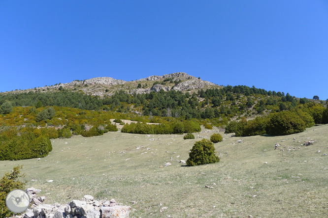 Costa Pubilla o Pla de Pujalts (2.056m) al Montgrony 1 