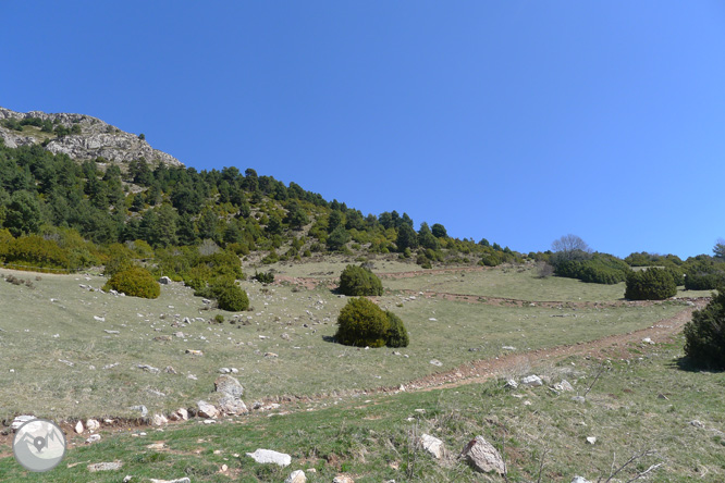 Costa Pubilla o Pla de Pujalts (2.056m) al Montgrony 1 