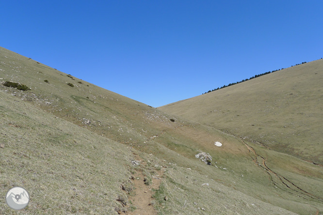 Costa Pubilla o Pla de Pujalts (2.056m) al Montgrony 1 