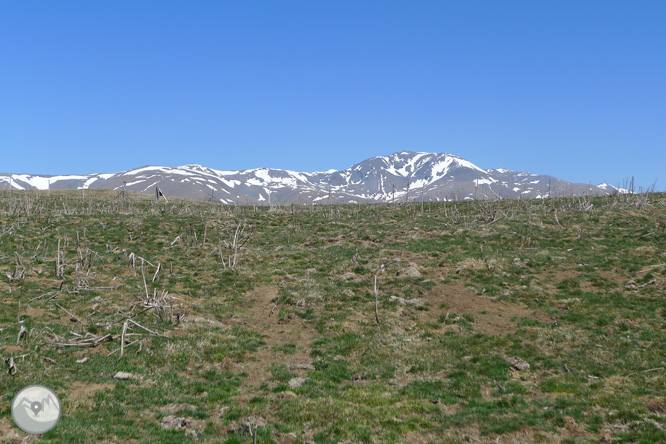 Costa Pubilla o Pla de Pujalts (2.056m) al Montgrony 1 