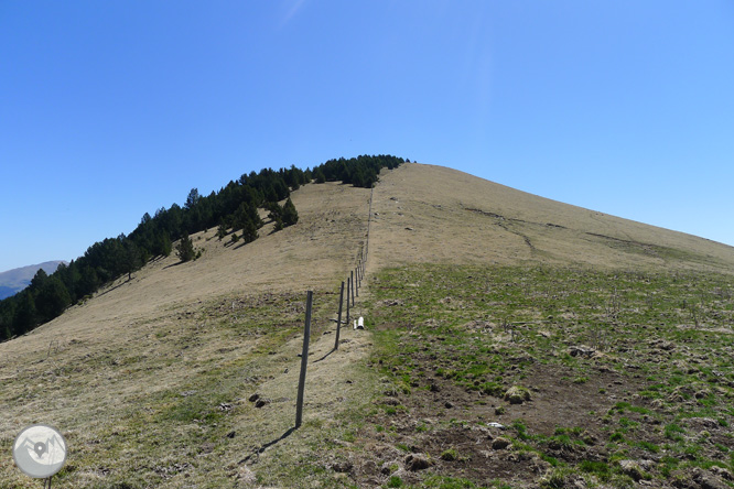 Costa Pubilla o Pla de Pujalts (2.056m) al Montgrony 1 