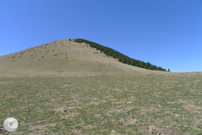 Costa Pubilla o Pla de Pujalts (2.056m) al Montgrony 1 