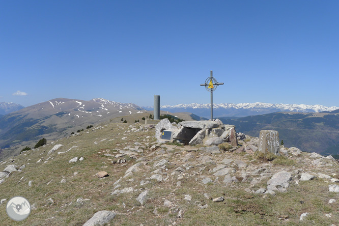 Costa Pubilla o Pla de Pujalts (2.056m) al Montgrony 1 