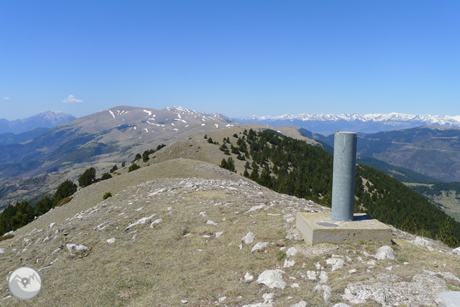 Costa Pubilla o Pla de Pujalts (2.056m) al Montgrony 1 