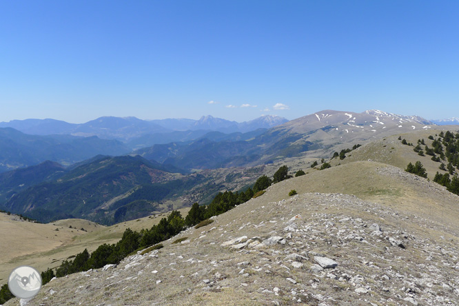 Costa Pubilla o Pla de Pujalts (2.056m) al Montgrony 1 