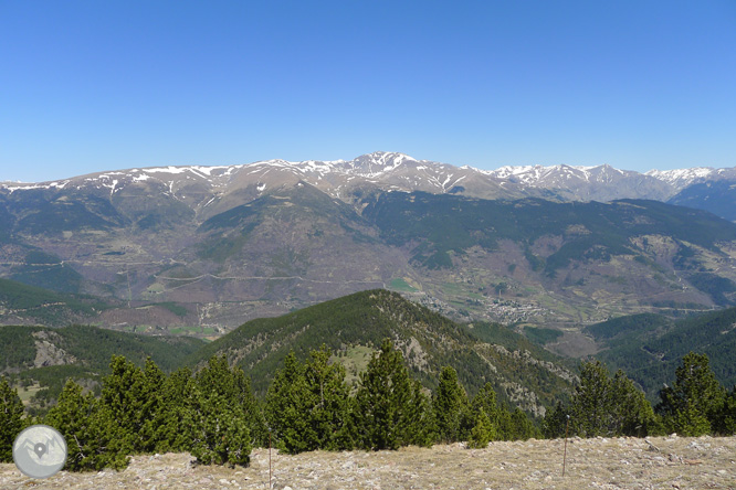 Costa Pubilla o Pla de Pujalts (2.056m) al Montgrony 1 