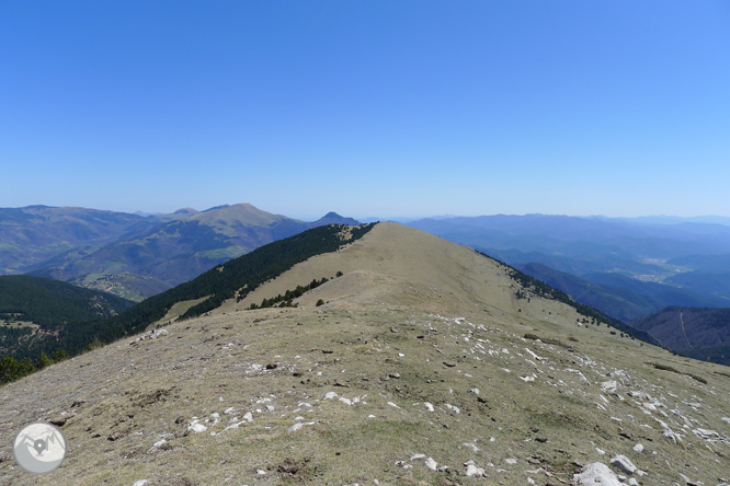 Costa Pubilla o Pla de Pujalts (2.056m) al Montgrony 1 