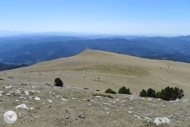 Costa Pubilla o Pla de Pujalts (2.056m) al Montgrony 1 