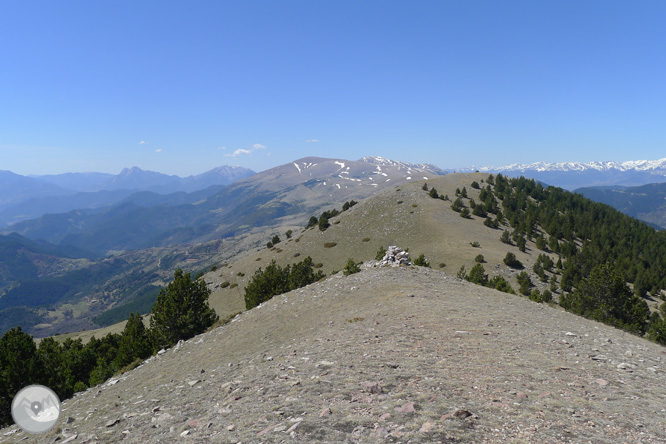 Costa Pubilla o Pla de Pujalts (2.056m) al Montgrony 1 