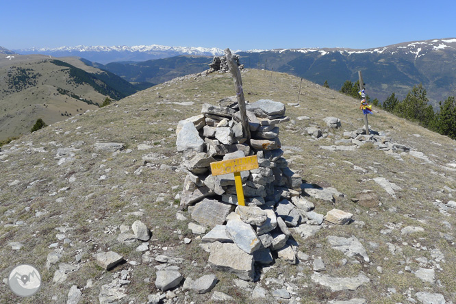 Costa Pubilla o Pla de Pujalts (2.056m) al Montgrony 1 