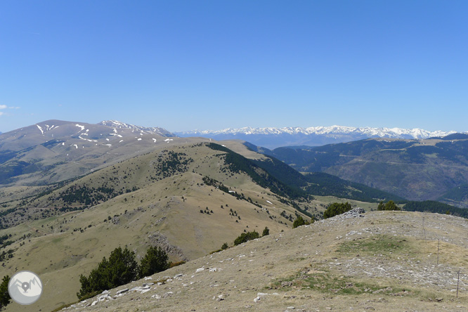 Costa Pubilla o Pla de Pujalts (2.056m) al Montgrony 1 