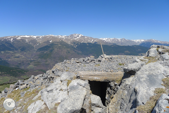 Costa Pubilla o Pla de Pujalts (2.056m) al Montgrony 1 