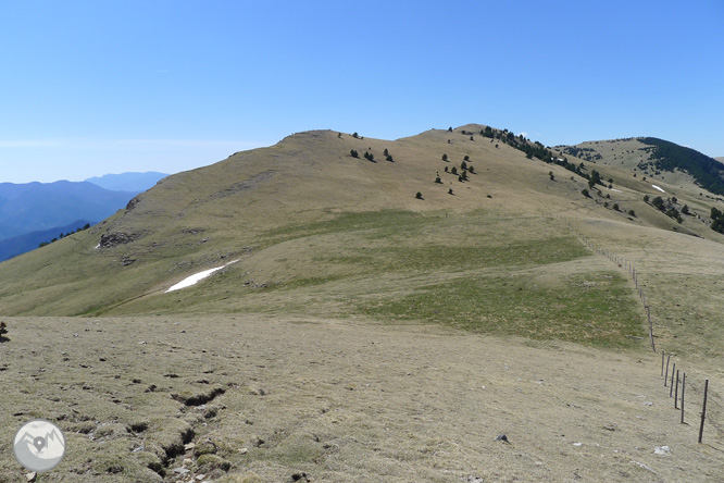 Costa Pubilla o Pla de Pujalts (2.056m) al Montgrony 1 