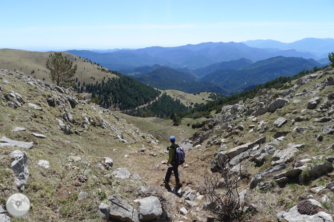 Costa Pubilla o Pla de Pujalts (2.056m) al Montgrony 1 