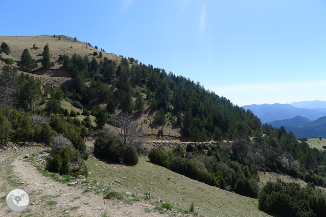 Costa Pubilla o Pla de Pujalts (2.056m) al Montgrony 1 