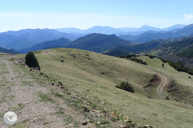 Costa Pubilla o Pla de Pujalts (2.056m) al Montgrony 1 