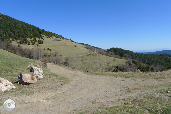 Costa Pubilla o Pla de Pujalts (2.056m) al Montgrony 1 