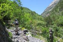 Ascendim per un camí a vegades pedregós per entre boscos i espais oberts.