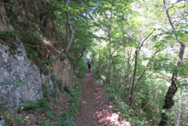 El camí que travessa el bosc és còmode i agradable.