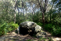 El dolmen de can Mina dels Torrents.