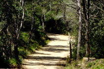 Les vistes conviden a caminar.