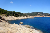 Quatricomia: blau-cel, verd-pi, gris-roca, blau-marí.
