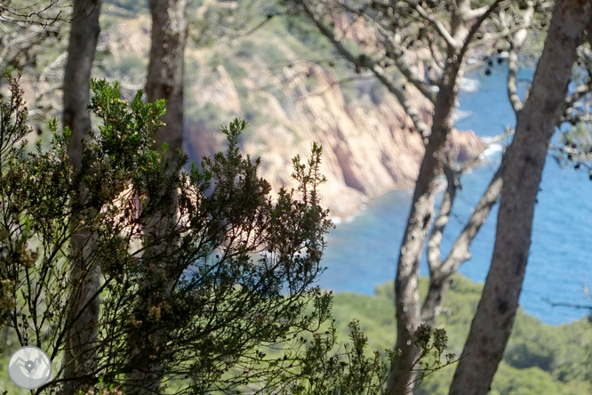 De Llafranc a Tamariu per camins tradicionals i de ronda 1 