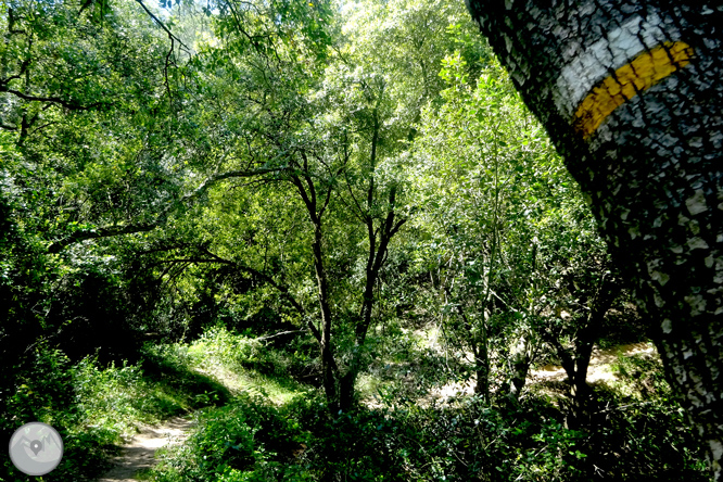 De Llafranc a Tamariu per camins tradicionals i de ronda 1 