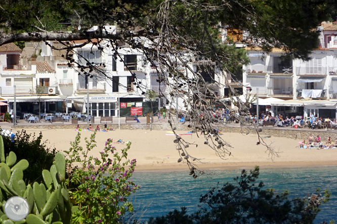 De Llafranc a Tamariu per camins tradicionals i de ronda 1 