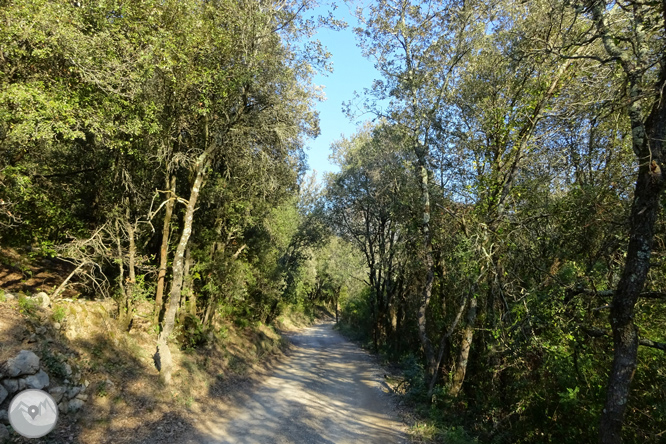 De Sadernes a Santa Bàrbara a l