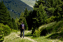 El camí, ara de tornada.