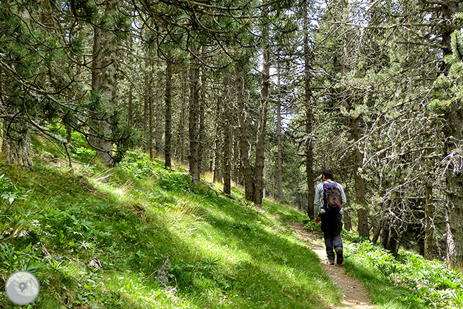 El Cadinell (2.113m) des de Josa de Cadí 1 