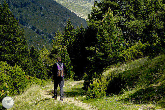 El Cadinell (2.113m) des de Josa de Cadí 1 