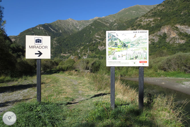 Passeig pel Salencar de Barruera 1 