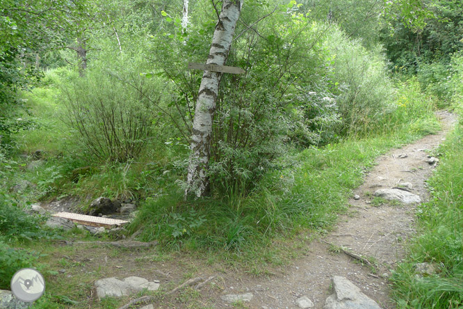 Passejada fins a El Salto a Sallent de Gállego 1 