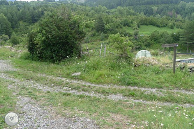 Passejada fins a El Salto a Sallent de Gállego 1 