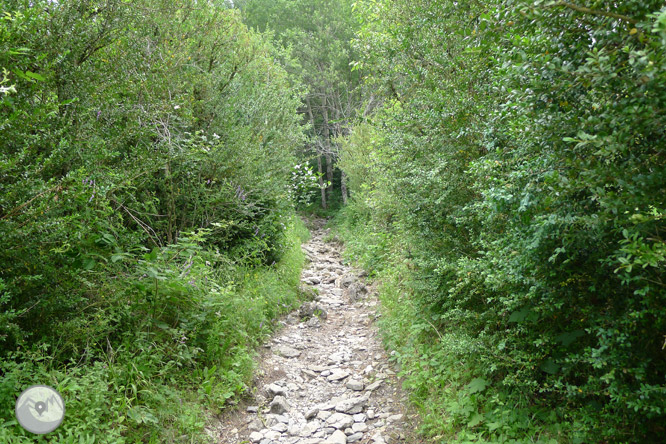 Passejada fins a El Salto a Sallent de Gállego 1 