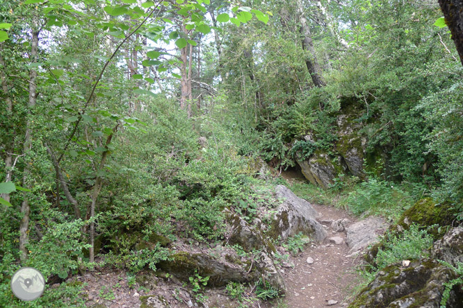 Passejada fins a El Salto a Sallent de Gállego 1 