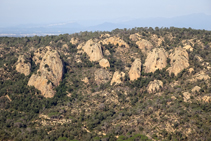 Roca Ponça, a Solius.