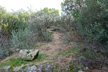 Pla de la Figuereta, camí a la Roca Rodona per la carena.