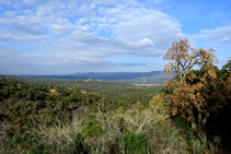 Vistes a la vall de Ridaura.