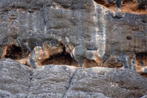 Detall de cornises a les parets de roca.
