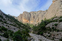 El camí progressa a mig vessant entre les parets de roca i el riu Estrets.