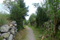 Alguns murs de pedra delimiten el camí.