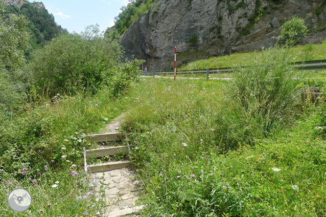 Camí Natural de l